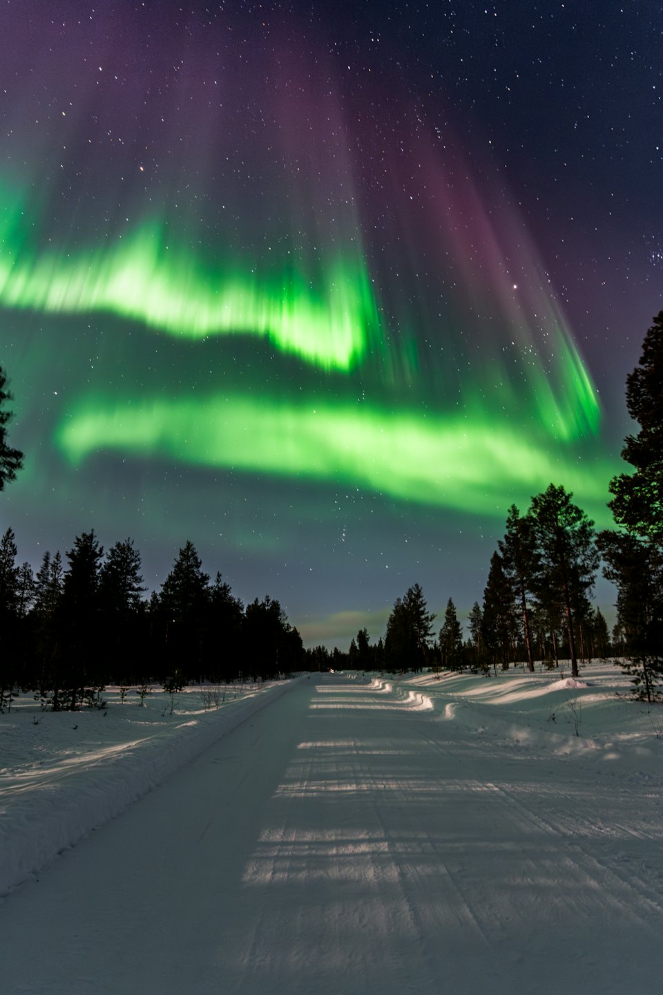 Aurora Borealis over a snow-covered forest with a path.