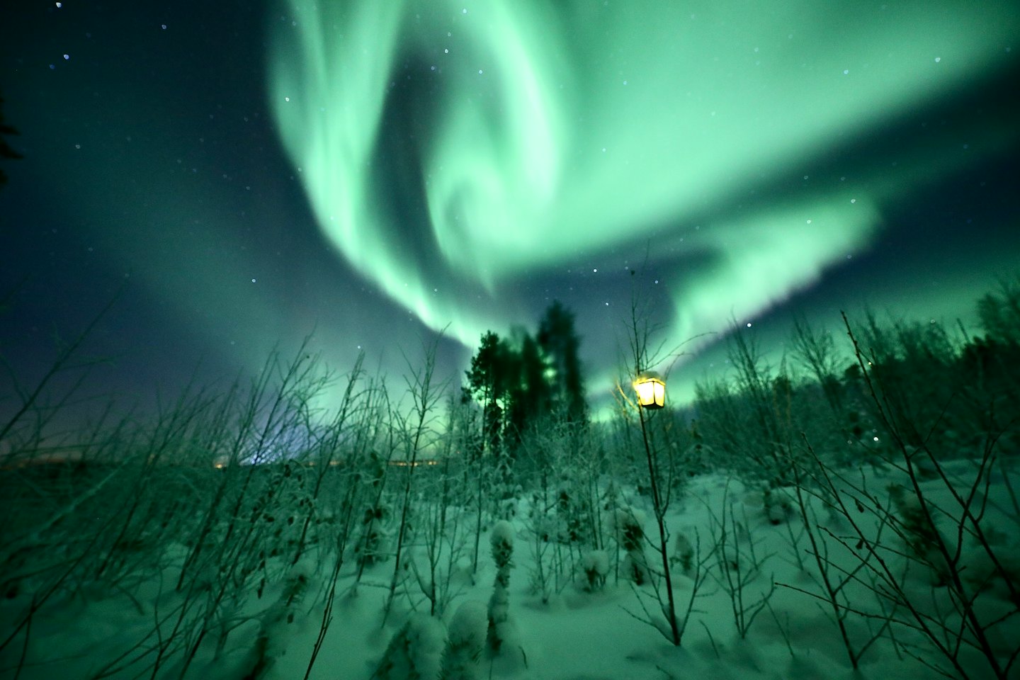 Green northern lights glow above a snowy winter forest with a lantern.
