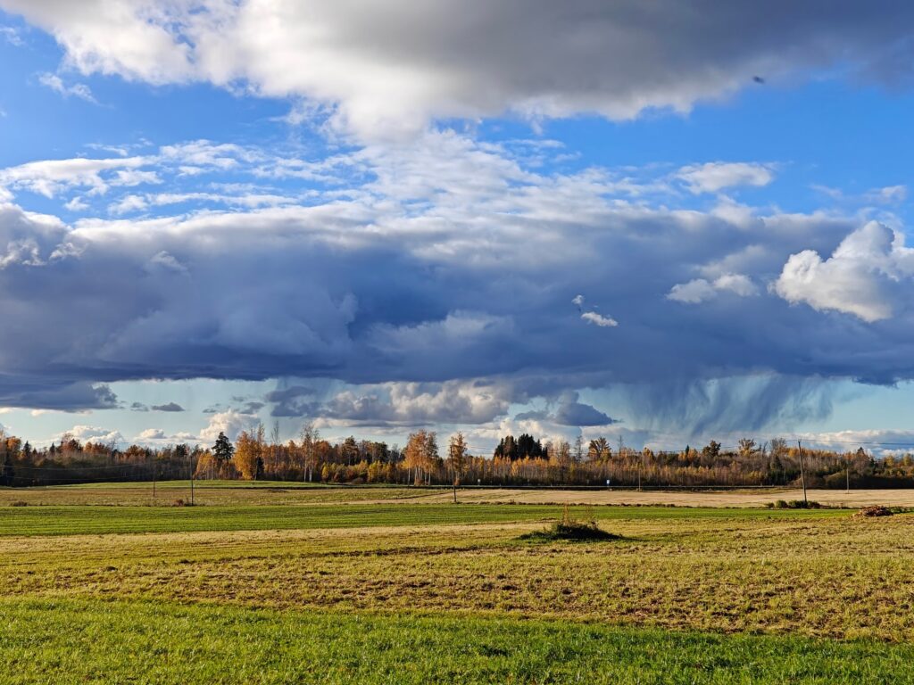 Open autumn fields with a line of trees and a dark storm cloud releasing streaks of rain in the distance.