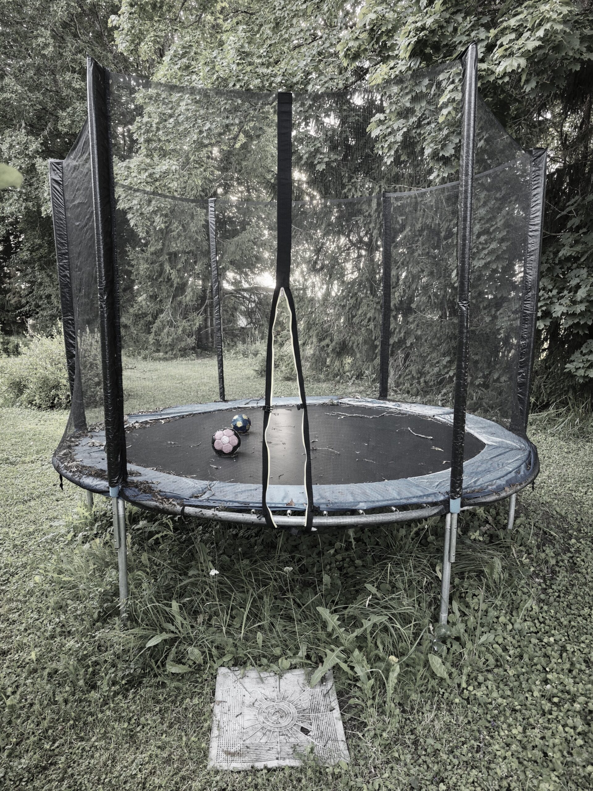 Round trampoline with safety net and two play balls on the mat in a grassy yard under trees