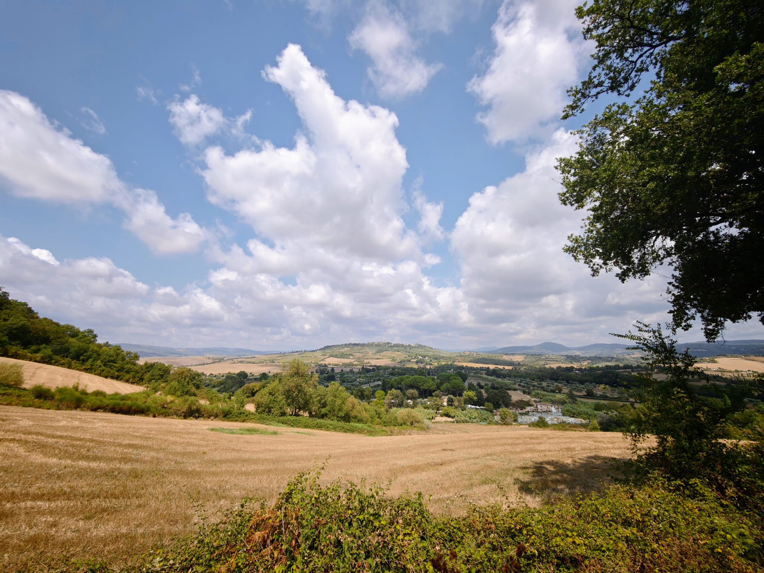Harvested fields and hedgerows leading to distant hills under a blue sky with scattered clouds, tree at right