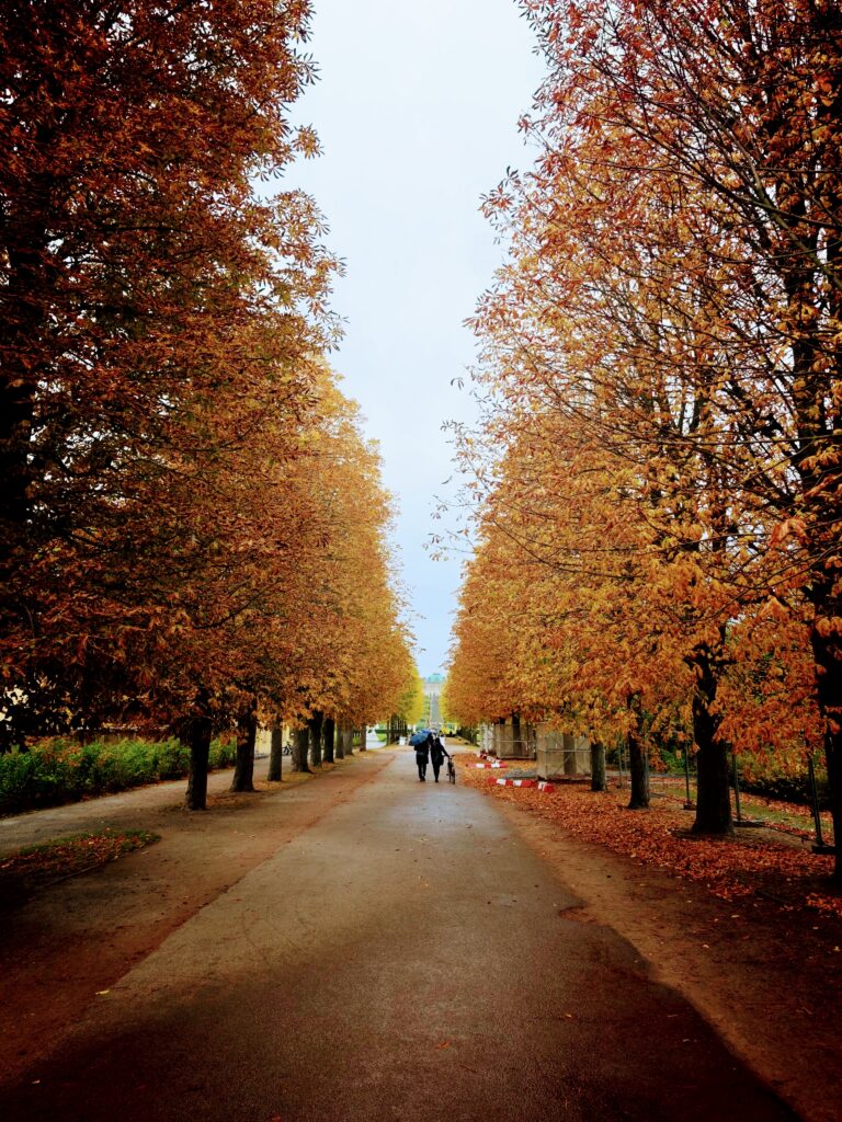 Paved path flanked by orange-leaved trees with two people walking a dog under a gray sky.
